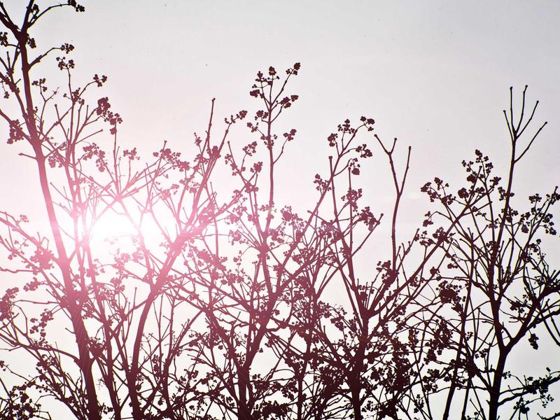 sudoku difficulty levels screenshot 5